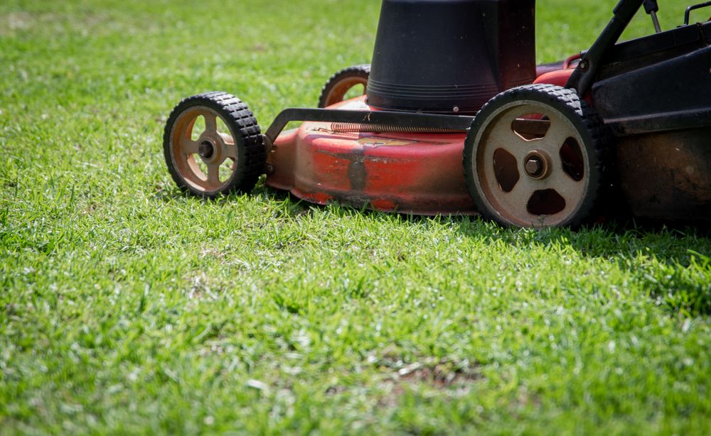 Stock photo of a lawn mower cutting green grass